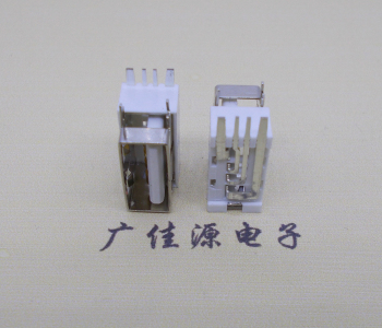 岳阳USB侧立式短体10.0尺寸 侧插加宽脚5A大电流插座