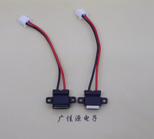 岳阳简易type c2p防水母座注塑成型带双螺丝孔焊线式带线带接线端子单充电功能
